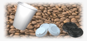 Coffee Cups And Lids #1811576
