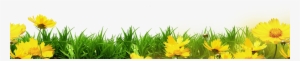 Clip Art Yellow Floral Bottom Border Transprent - Flower Bottom Border Transparent #1811626