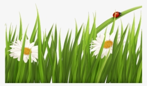 Lawn Clipart Border - Transparent Background Grass Clipart #1811697