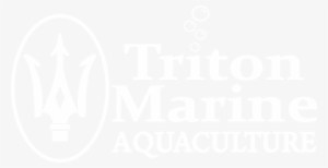 Testimage - Poster #1812951