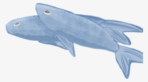 Fish - Wiki #1814125