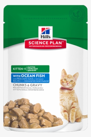 Sp Feline Science Plan Kitten With Ocean Fish - Hills Science Diet Kitten Chicken Wet Pouches 12 X #1814179