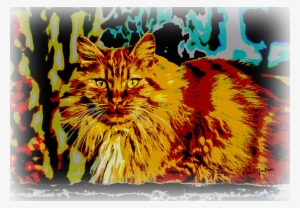 Click And Drag To Re-position The Image, If Desired - Fantastic Long-haired Golden Orange Cat #1816554