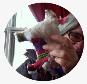 It Was Also Filthy, Stuffed With Wadded Pantyhose, - Sheep #1817786