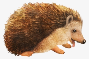 Picture Royalty Free Stock Cartoon Small Animal Material #1818206