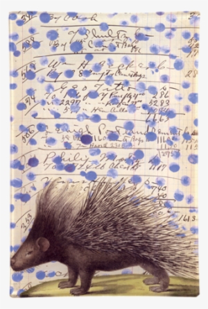 Collection Name - John Derian #1818262