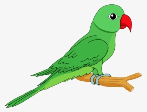 Hd Quality Flying Parrot Clipart Png Images Free - Clipart Image Of Parrot #1818267