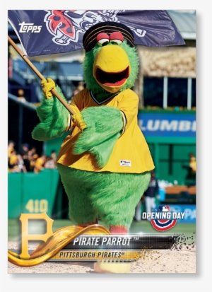 Pirate Parrot #1818465