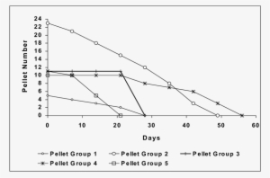Decay Rate Of Porcupine Pellets During Pre-monsoon - Diagram #1818639