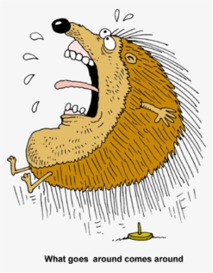 Porcupine - Sitting On A Porcupine #1818807 Porcupine - Sitting On A Porcupine #1818807