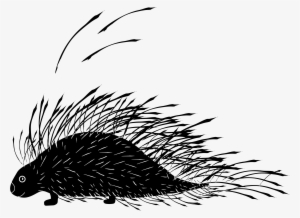 Porcupine - Pest #1818809 Porcupine - Pest #1818809