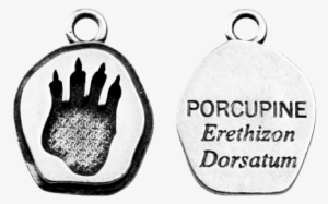 Porcupine #1818868 Porcupine #1818868