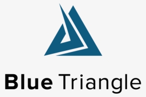 Blue Triangle Revamps Digital Experience Optimization - Biomedevice #1819832