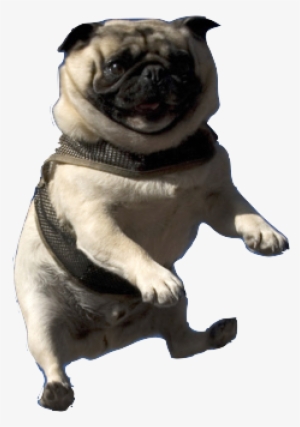 #142934295 Added By Froglordy At Minecraft Gone Sexual - Wind Beneath My Wings Meme #1820137