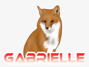 She Started These Videos With Me At The Age Of - Red Fox #1820314