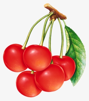 Cherries Png Image - Red Cherry #1820710 Cherries Png Image - Red Cherry #1820710