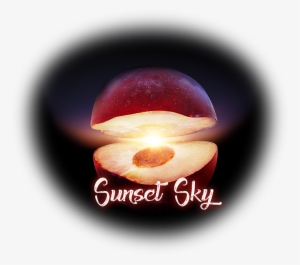 A Pleasure For All The Senses - Edible Mushroom #1820736