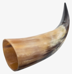 Viking Horn Png - Medieval Horn #1820922