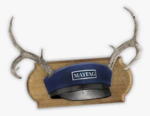 Maytag-small #1821031