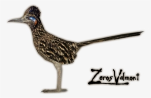 4dd5 - Real Road Runner Png #1821316