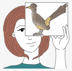 Road Runner - Roadrunner Totem Pole Drawing #1821346