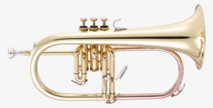 Jp175 Flugel Horn Lacquer Cutout - Flugelhorn #1821376 Jp175 Flugel Horn Lacquer Cutout - Flugelhorn #1821376