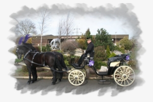 Townies Carriage Hire #1821760