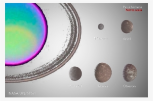 Description Structure Dynamique - Circle #1822177