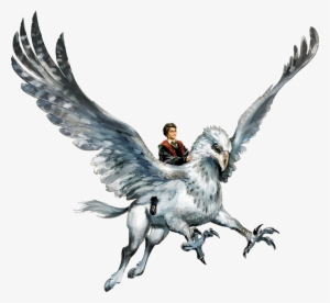 Harry05 Cap Hpe3 - Buckbeak Harry Potter Png #1822461 Harry05 Cap Hpe3 - Buckbeak Harry Potter Png #1822461