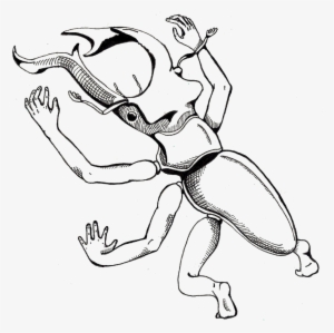 Beetle With Human Arms And Legs Black And White Fineliner - Line Art #1823632