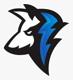 Surge Esc - Surge Esports Club #1823688