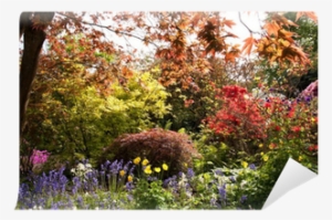 A Riot Of Color - Photograph #1824517