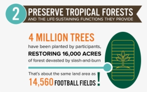 Impact Area 2 April 2018 - Nottingham Forest Vs Blackpool #1824797