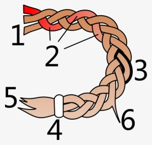 Parts Of A Hair Braid - Parts Of A Braid #1825638