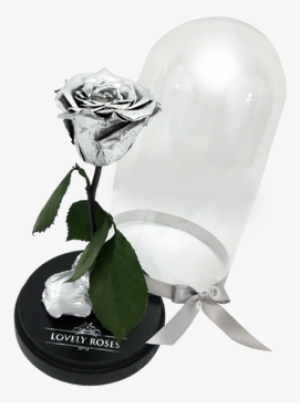 Metallic Silver Beauty & The Beast - Garden Roses #1826932