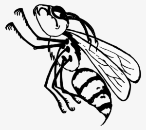 Yellowjacket 20 Jul 2017 - Illustration #1827478