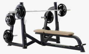 Pulse-freeweights - Pulse Fitness Olympic #1827610