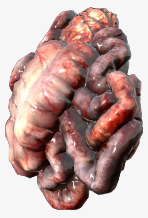 Guts From A Human #1827788