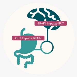 Jay Pasricha, M - Brain Gut Connection #1828276