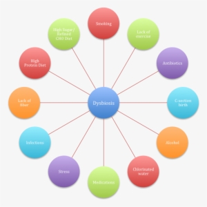 Gut Health Dysbiosis Causes - Common Causes Of Dysbiosis #1828295