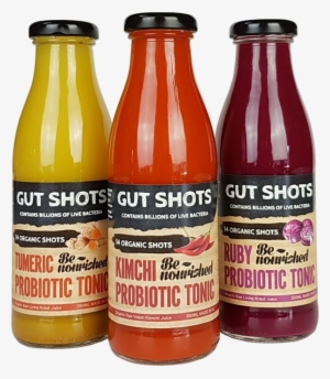 Recipe Ideas For Be Nourished Gut Shots - Probiotic #1828343