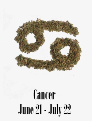 Stoner Cancer Monthly Horoscope - Moss #1828572