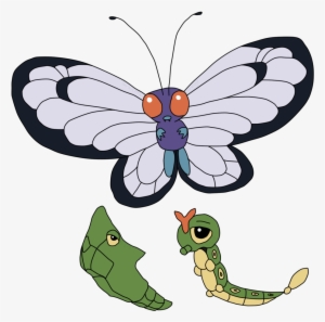 Caterpie Evolution - Caterpie #1830057
