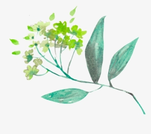 This Backgrounds Is Spring Fresh Plant Transparent - Spring #1830477