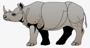 Rhinoceros Free Download - Side View Of A Rhino #1830907