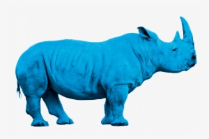 Rhino Bleu Png - Animals With White Background #1831160