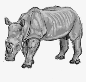 Rhino #1831163