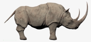 Conan Exiles Elephant #1831193