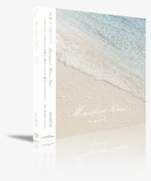 Magnificent Hawaii Vocal - Darkness #1831215