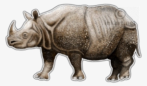 28 Collection Of Javan Rhino Drawing - One Horned Rhino Drawing #1831592